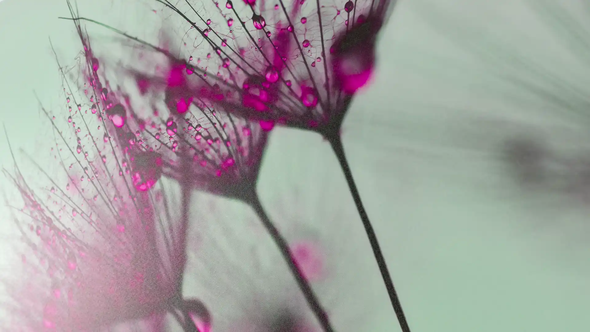 Übernachten rund um Moosburg im Drei Tannen Hotel