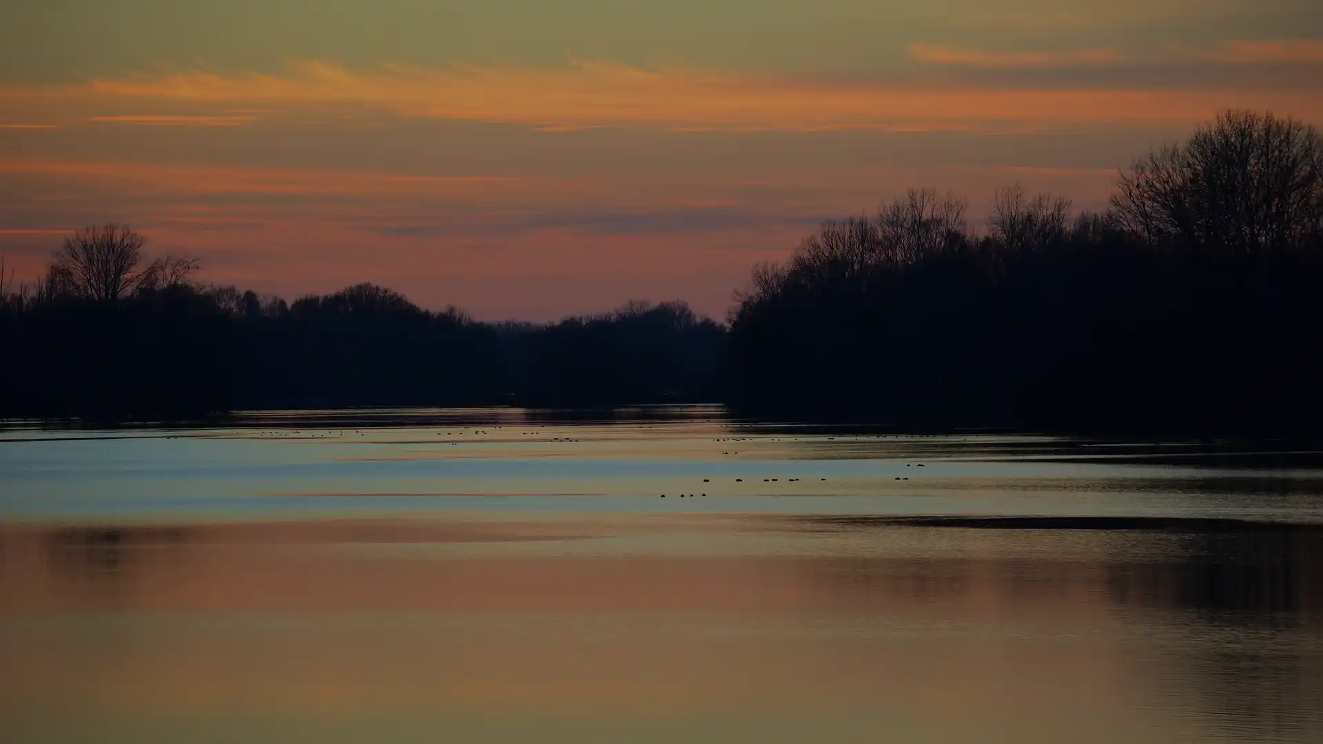 Radfahrer auf dem Isarradweg bei Moosburg in Oberbayern
